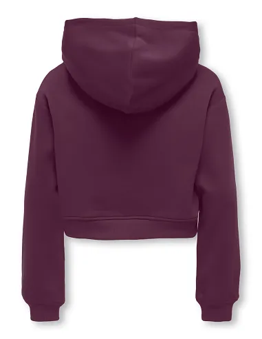 SUDADERA CON CAPUCHA KOGSWEAT -Mauve Wine | KIDS ONLY