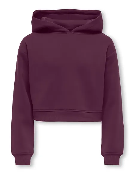 SUDADERA CON CAPUCHA KOGSWEAT -Mauve Wine | KIDS ONLY