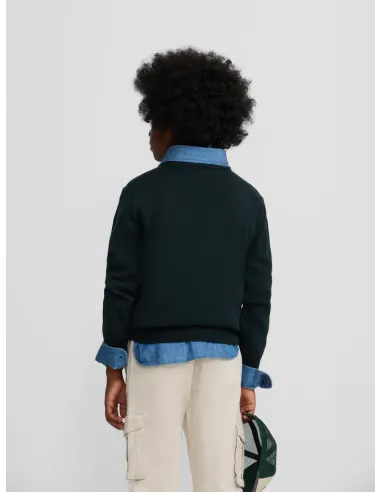 Jersey kids dog verde | SILBON