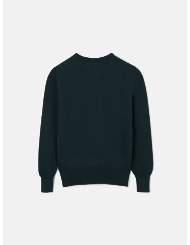 Jersey kids dog verde | SILBON