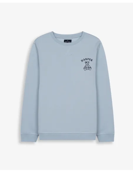 SUDADERA ARTHUR KIDS LIGHT BLUE