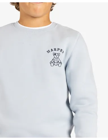 SUDADERA ARTHUR KIDS LIGHT BLUE