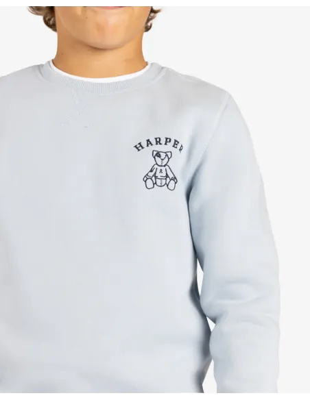 SUDADERA ARTHUR KIDS LIGHT BLUE