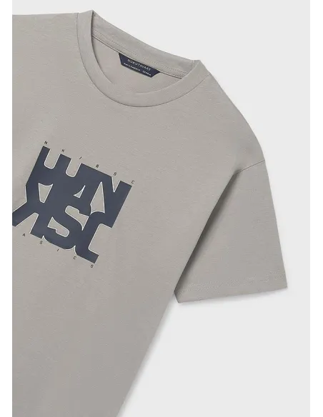 Camiseta m/c basica - Shitake   