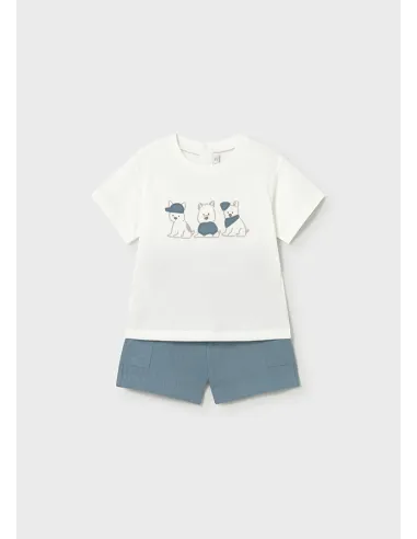 Conj. punto estructura - Jade      