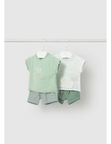 Conj. punto 4 piezas - Alga