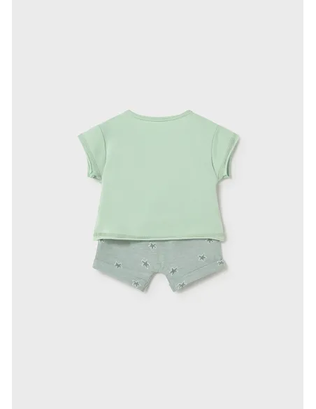 Conj. punto 4 piezas - Alga