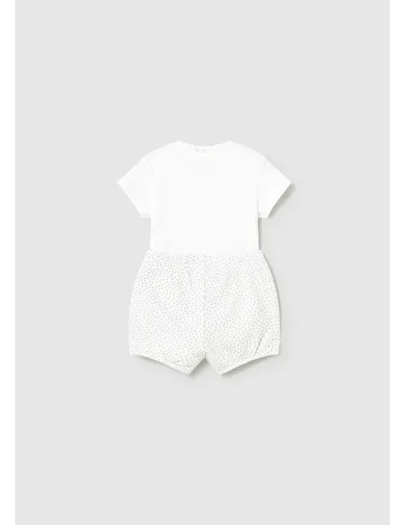 Conj. punto 4 piezas - Plata