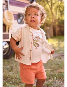 Bermuda bambula - Arcilla   