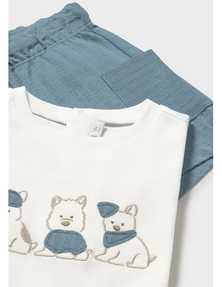 Conj. punto estructura - Jade      